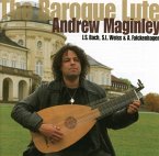 The Baroque Lute