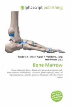 Bone Marrow