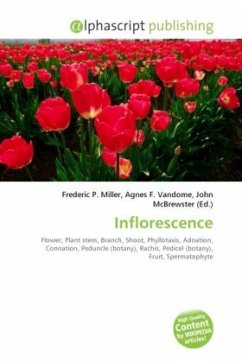 Cover Inflorescence