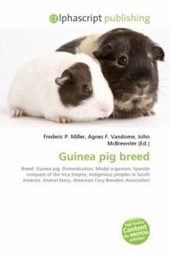 Guinea pig breed