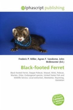 Black-footed Ferret