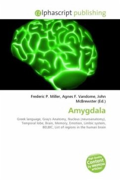 Amygdala