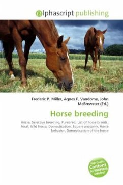 Horse breeding