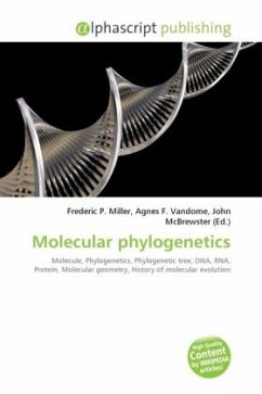 Molecular phylogenetics