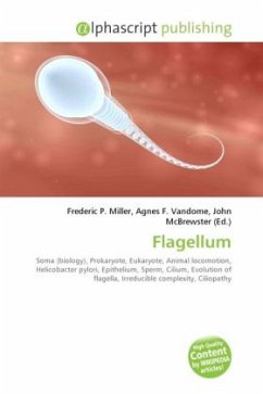 Flagellum