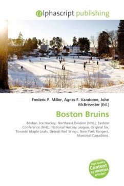 Cover Boston Bruins