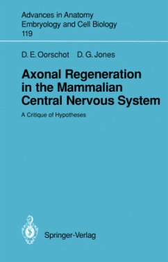 Axonal Regeneration in the Mammalian Central Nervous System - Oorschot, Dorothy E.; Jones, David G.