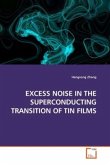 EXCESS NOISE IN THE SUPERCONDUCTING TRANSITION OF TIN FILMS