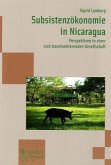 Subsistenzökonomie in Nicaragua