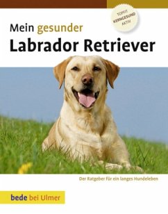 Mein gesunder Labrador Retriever - Ackerman, Lowell