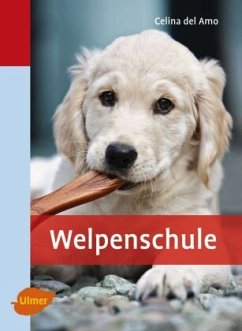 Welpenschule - Amo, Celina del