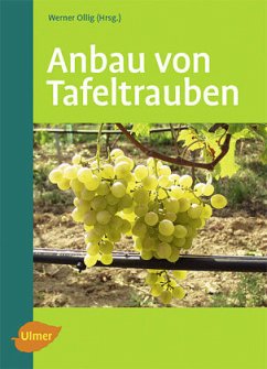 Anbau von Tafeltrauben - Ollig, Werner
