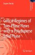 Critical Regimes of Two-Phase Flows... - Bild 1