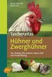 Taschenatlas Hühner und Zwerghühner - Bild 1