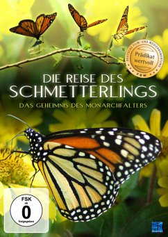 Die Reise des Schmetterlings