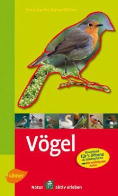 Vögel - Richarz, Klaus; Puchta, Anne