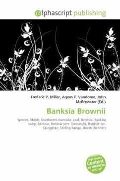 Banksia Brownii