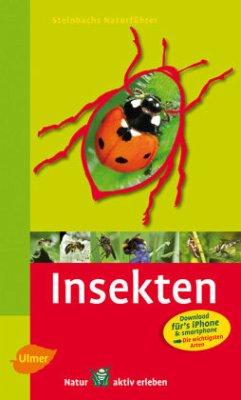 Steinbachs Naturführer Insekten - Bellmann, Heiko