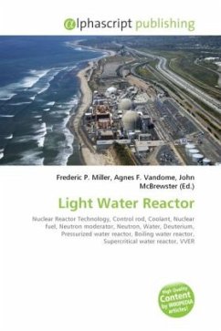 Light Water Reactor