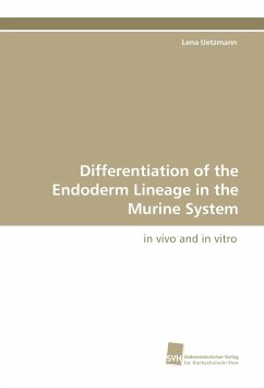 Differentiation of the Endoderm Lineage in the Murine System - Uetzmann, Lena