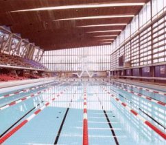 Cover No Hope,No Future