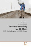 Selective Rendering for 3D Maps