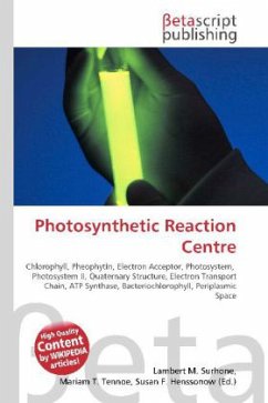 Photosynthetic Reaction Centre