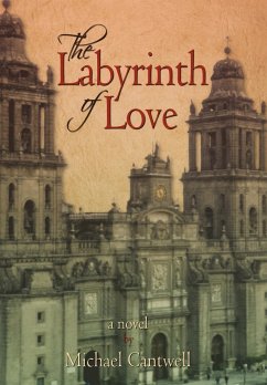 The Labyrinth of Love - Michael Cantwell, Cantwell