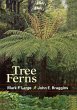 Tree Ferns - Bild 1