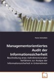 Managementorientiertes Audit der Informationssicherheit