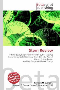 Cover Stern Review