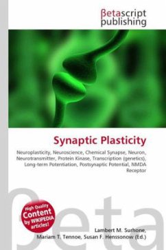 Synaptic Plasticity