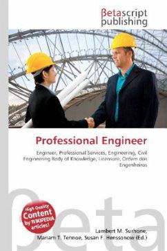 Professional Engineer