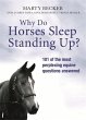 Why Do Horses Sleep Standing Up? - Bild 1