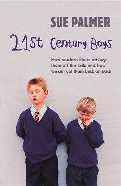 21st Century Boys - Palmer, Sue