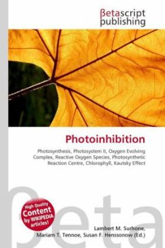 Photoinhibition