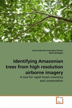 Identifying Amazonian trees from high resolution airborne imagery - Gonzalez Orozco, Carlos Eduardo