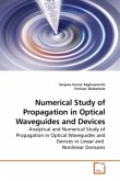 Numerical Study of Propagation in Optical Waveguides and Devices