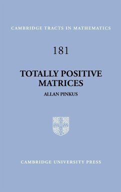 Totally Positive Matrices - Pinkus, Allan; Allan, Pinkus