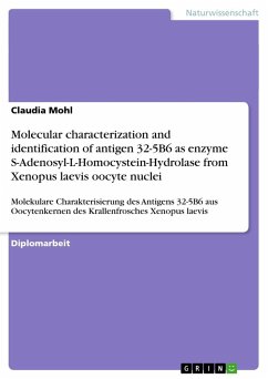 Molecular characterization and identification of antigen 32-5B6 as enzyme S-Adenosyl-L-Homocystein-Hydrolase from Xenopus laevis oocyte nuclei - Mohl, Claudia