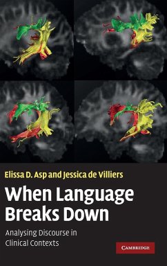 When Language Breaks Down - Asp, Elissa D; de de Villiers, Jessica