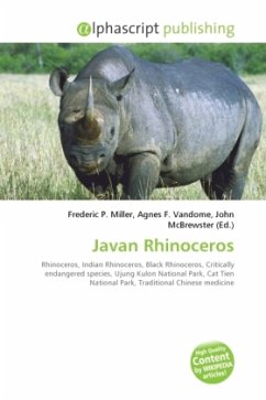 Javan Rhinoceros