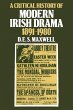 A Critical History of Modern Irish... - Bild 1