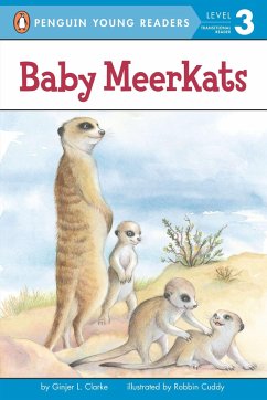 Baby Meerkats - Clarke, Ginjer L.
