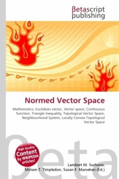 Normed Vector Space