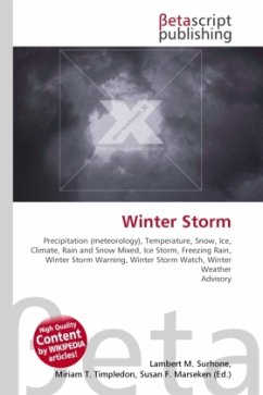 Cover Winter Storm