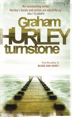 Turnstone - Hurley, Graham