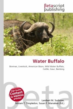 Water Buffalo