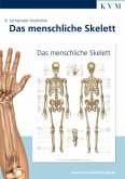 Das menschliche Skelett, 1 Poster