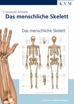 Das menschliche Skelett, 1 Poster